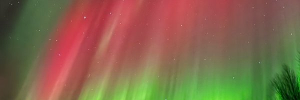 flipflipyong Profile Banner