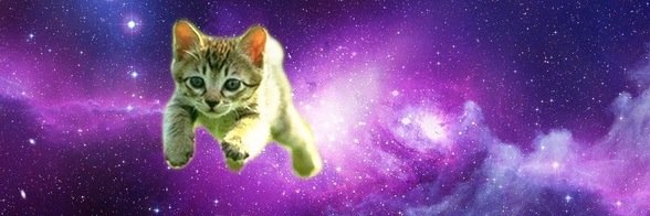 Amanda Van Noscrubs banner