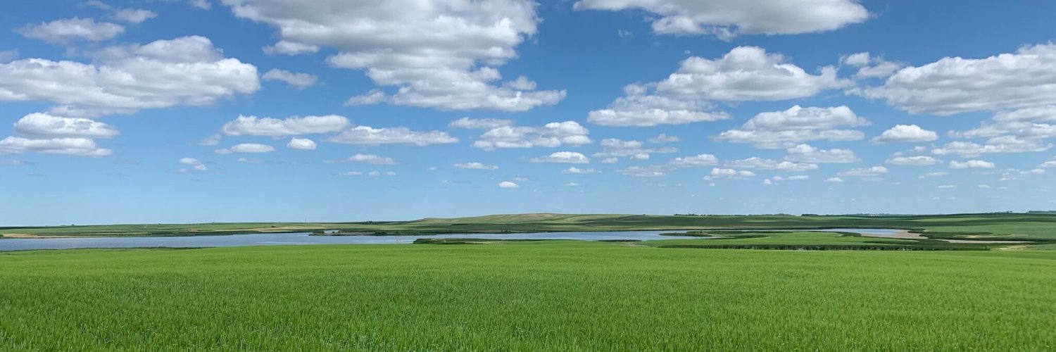 DrPlantHealth banner