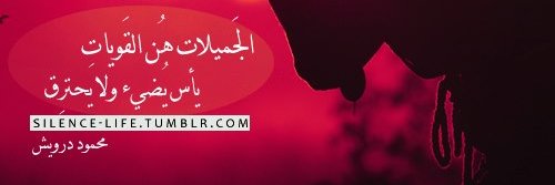 MennaIsma3il's profile banner image