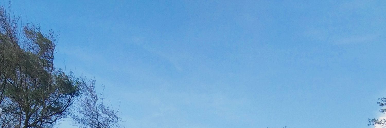 paranoeea's profile banner image