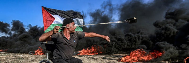 🇵🇸 TeikDet▪️Z banner