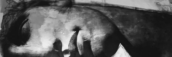 fabpmcg's profile banner image