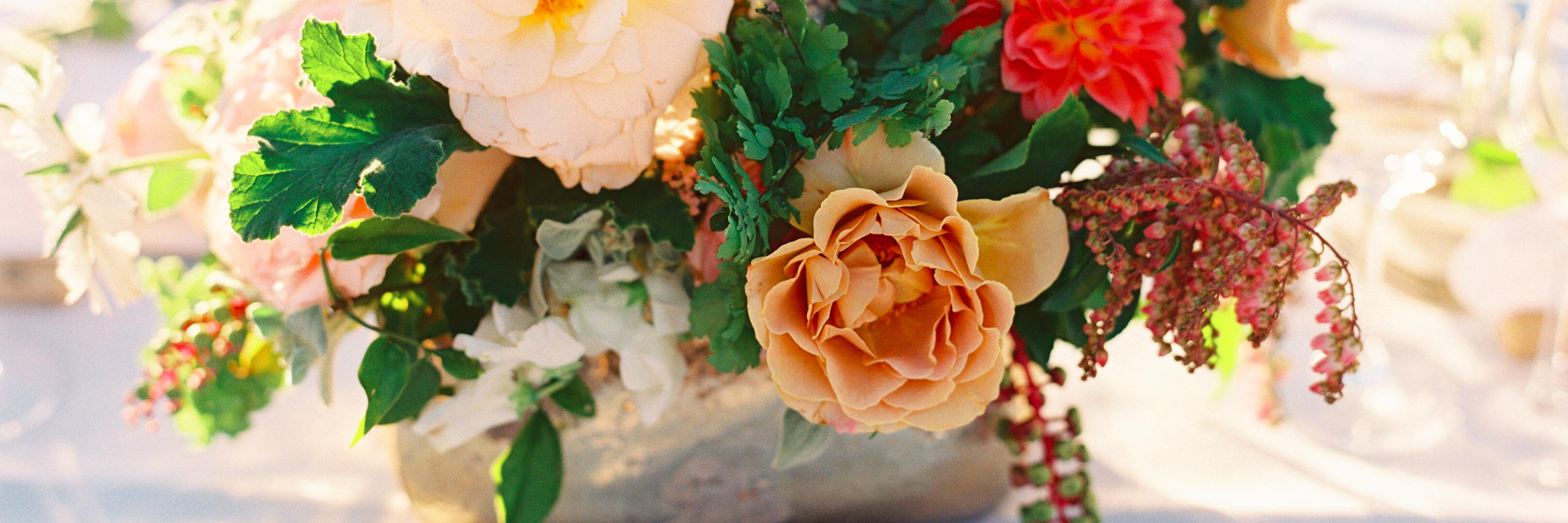 lrsloan's profile banner image