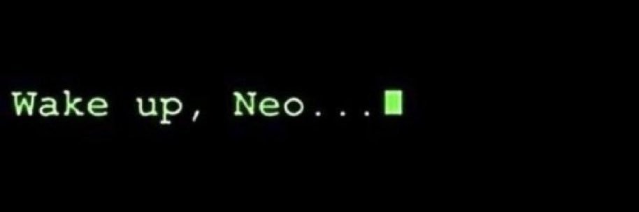 Alex Vallejos banner