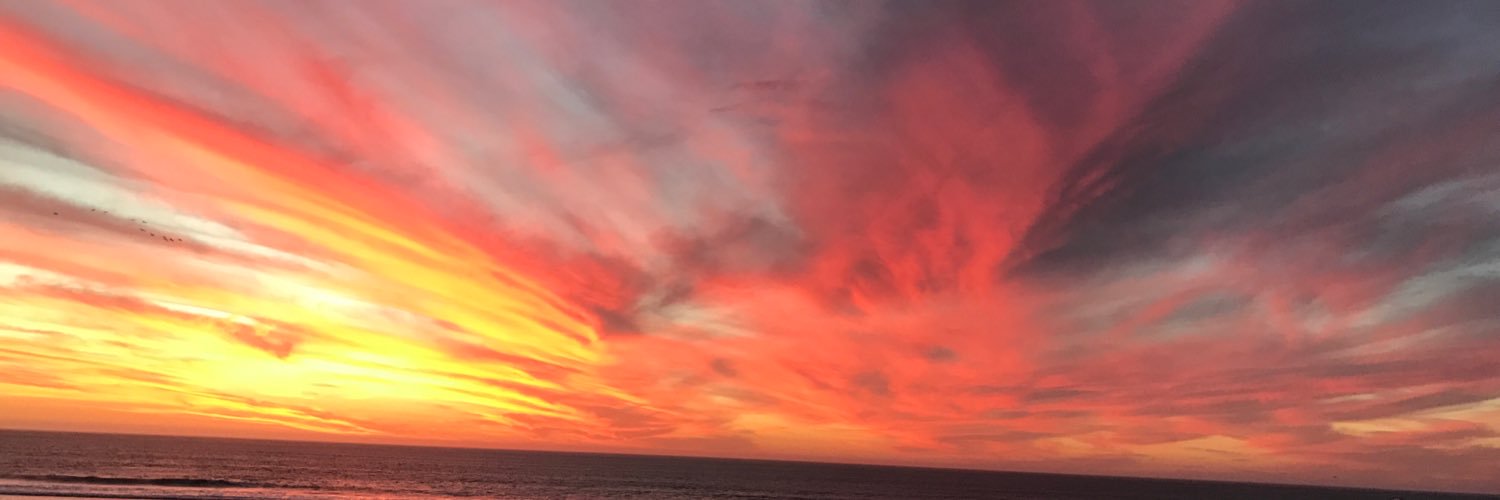 rouxdem's profile banner image