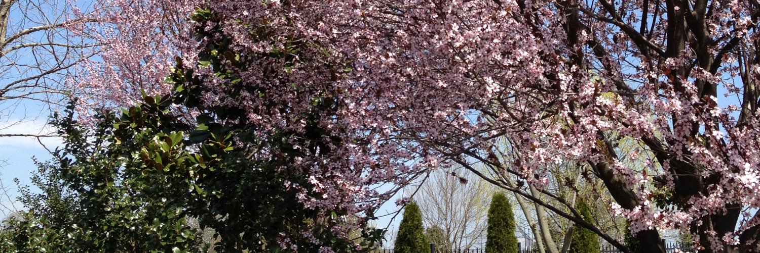 payne_fred's profile banner image