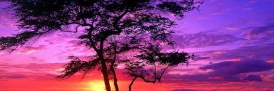 jory45jo's profile banner image