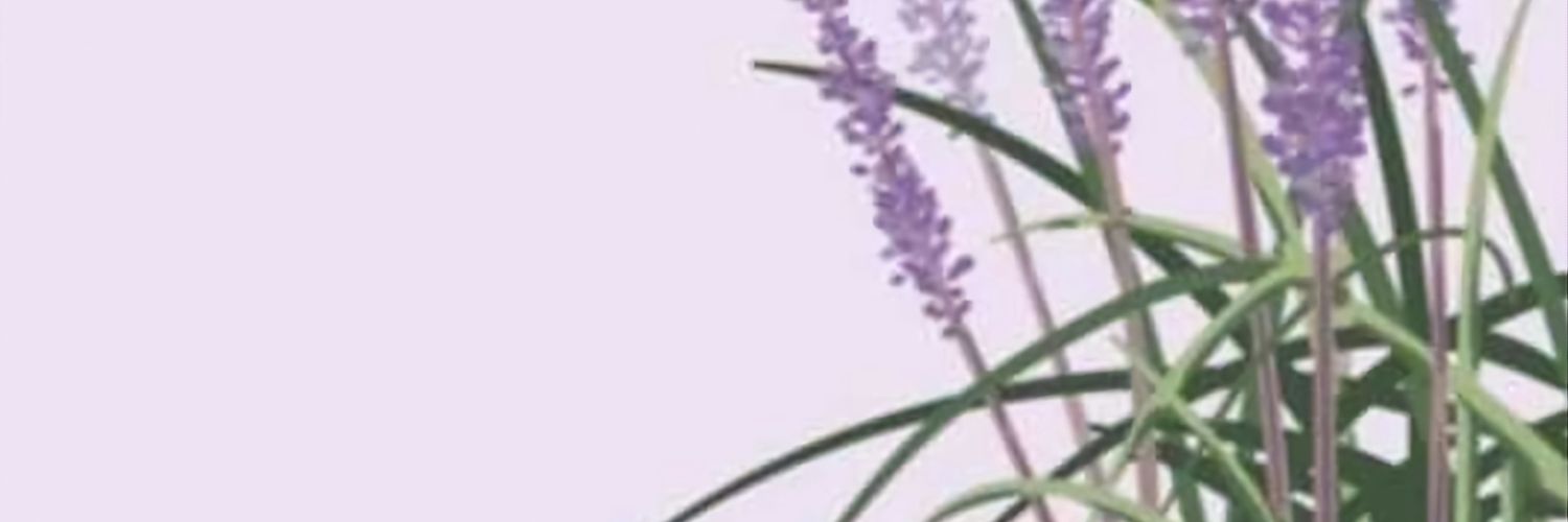 Lidiart's profile banner image