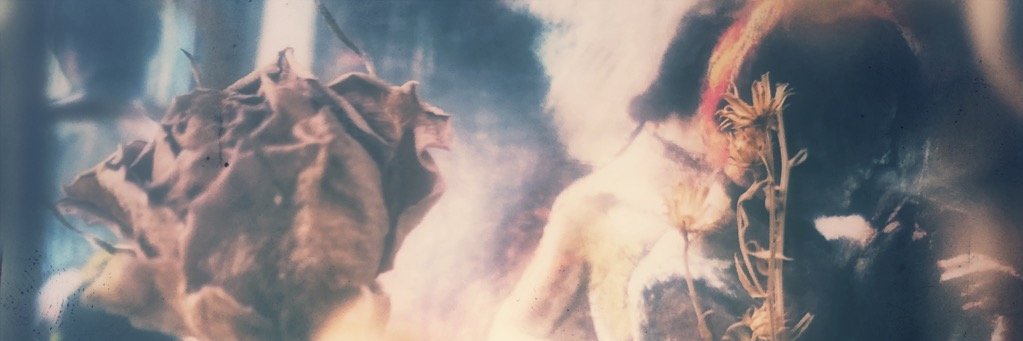 宮谷 行美(Pikumin) banner