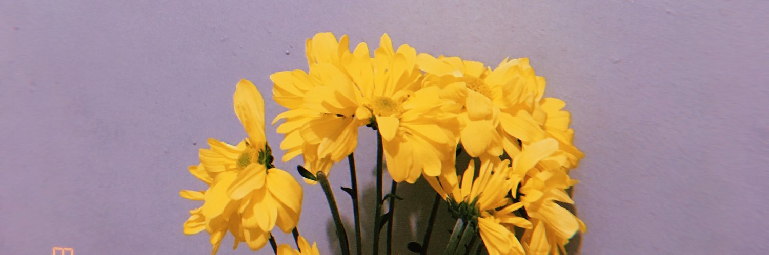 poyenriquez's profile banner image
