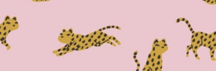 gabriscabral's profile banner image