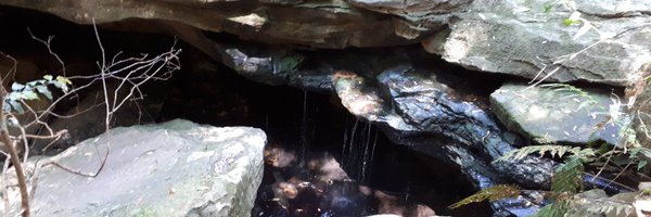 RippingGore Profile Banner