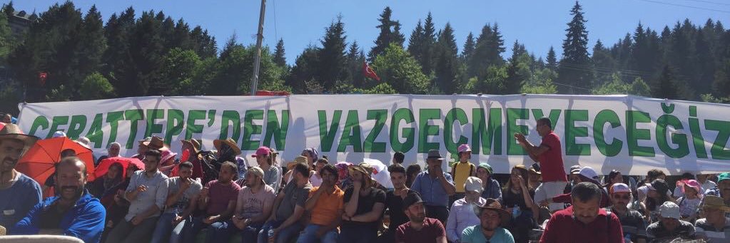 b.zeyno bayramoğlu 🌈🎈🐕🐾 banner