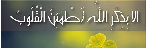 Al_s33da's profile banner image