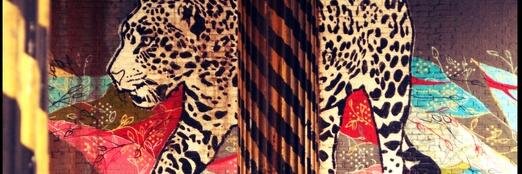 caroldorso's profile banner image