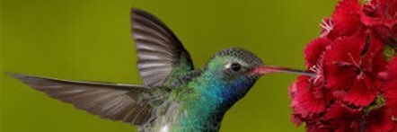 TenorioLuisa's profile banner image