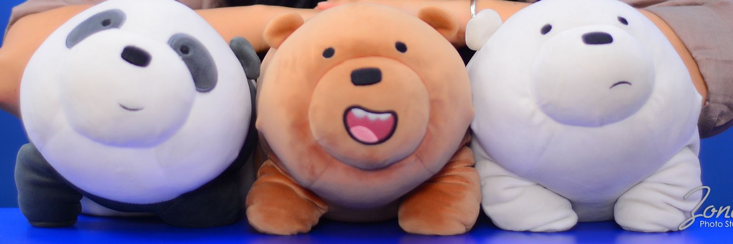 Pukeks banner