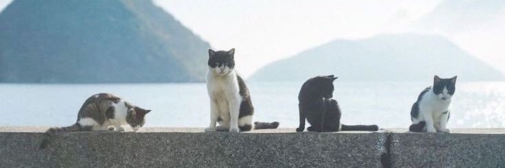 wuay's profile banner image