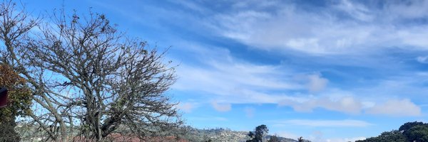 mangeshashrit Profile Banner