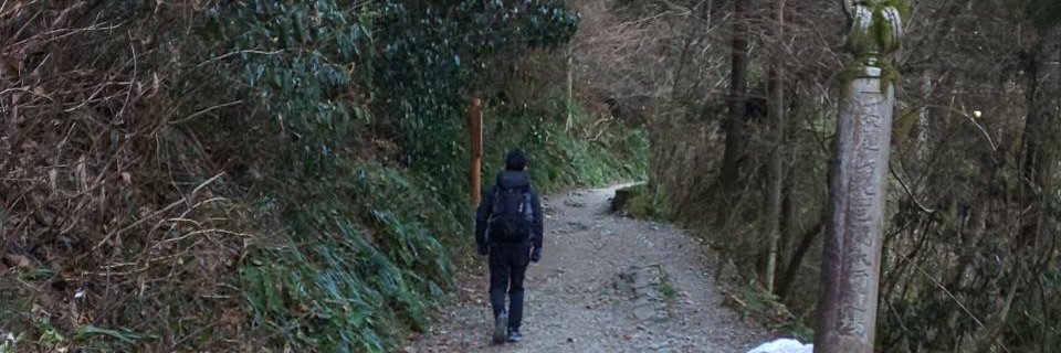 STONECOLD_ROCK's profile banner image