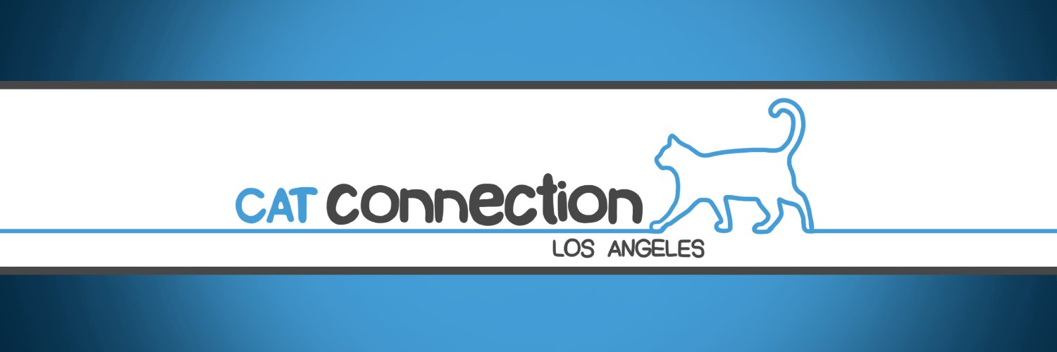 CatConnectionLA's profile banner image