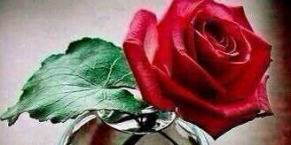 ‏ ☆سٌــيَف بن سعود☆ banner