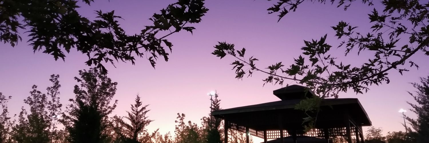 busralandya's profile banner image
