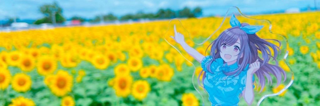 crescentestella's profile banner image
