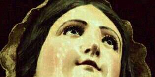 90_elisabeth's profile banner image