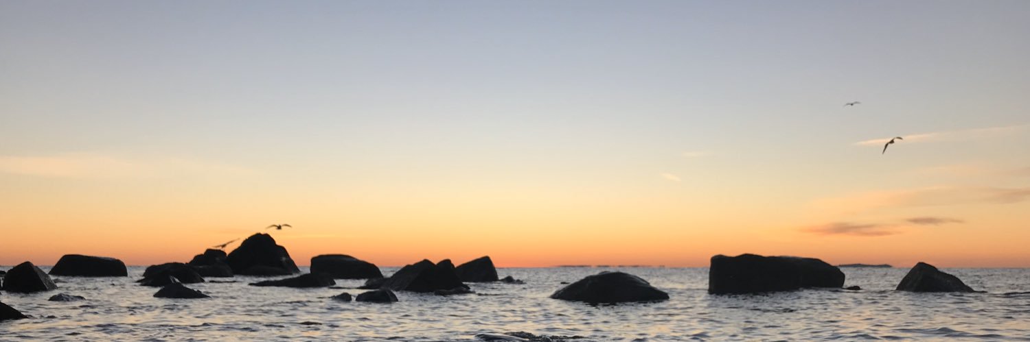mkorolnek's profile banner image