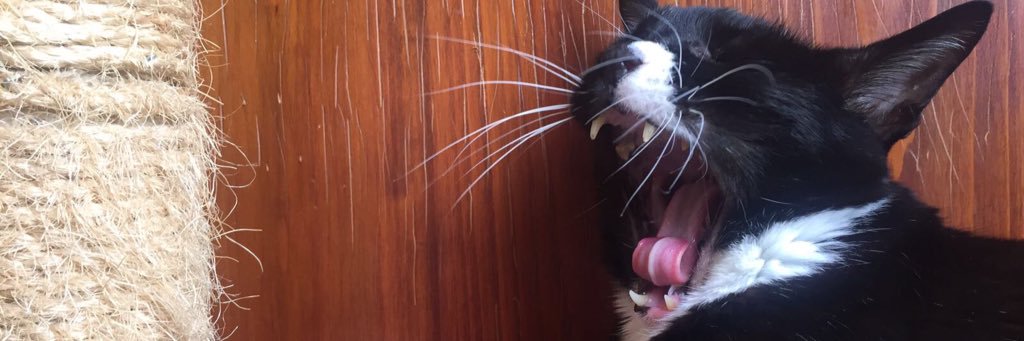 Charlie.xrd 🇺🇦 banner