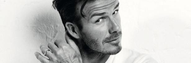 Joyce O'Shaughnessy banner