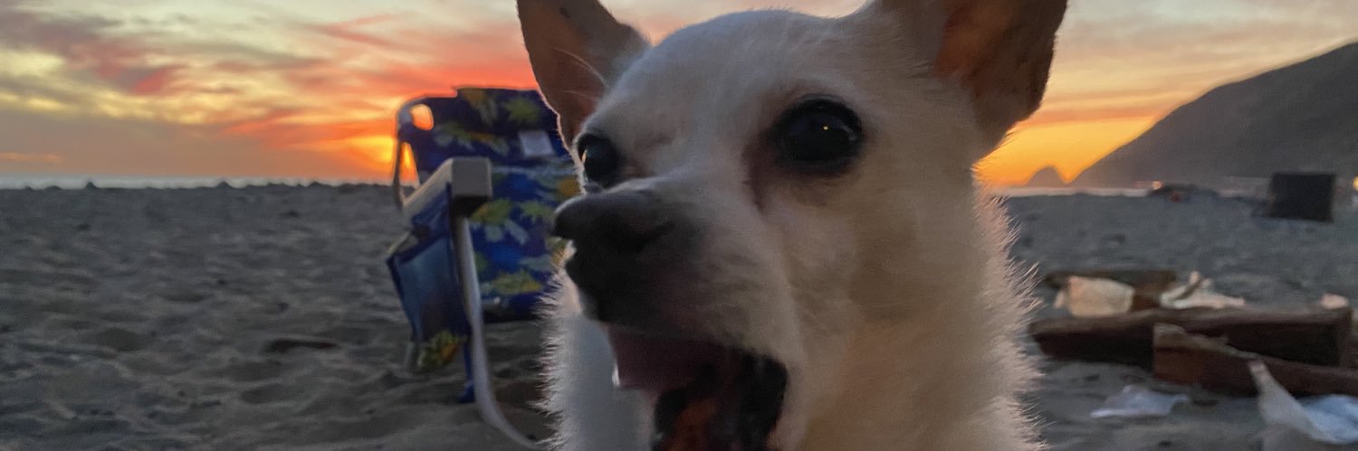 Lauren Denson (she,her) banner