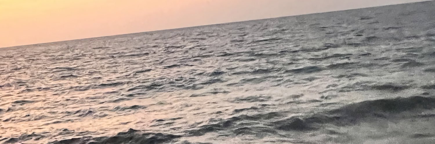 N880N's profile banner image