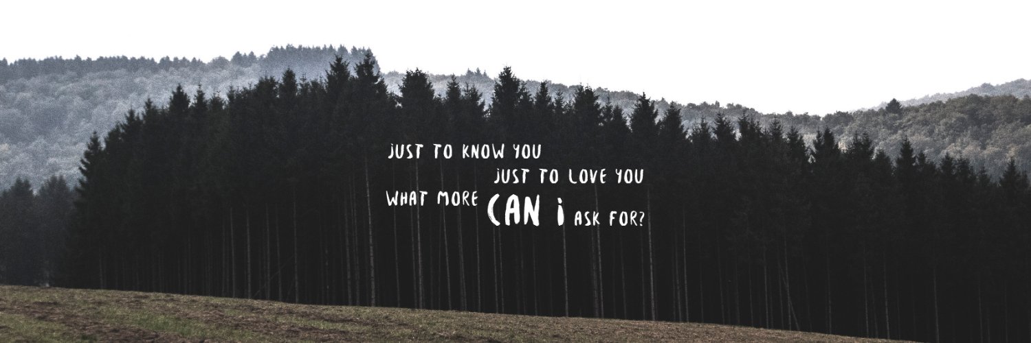 Iron Man of Steel banner