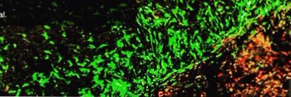DooleyLab Profile Banner
