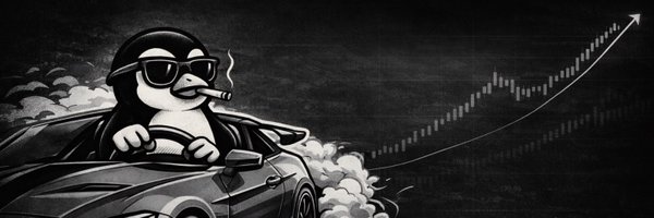 ipekkocaaydin's profile banner image