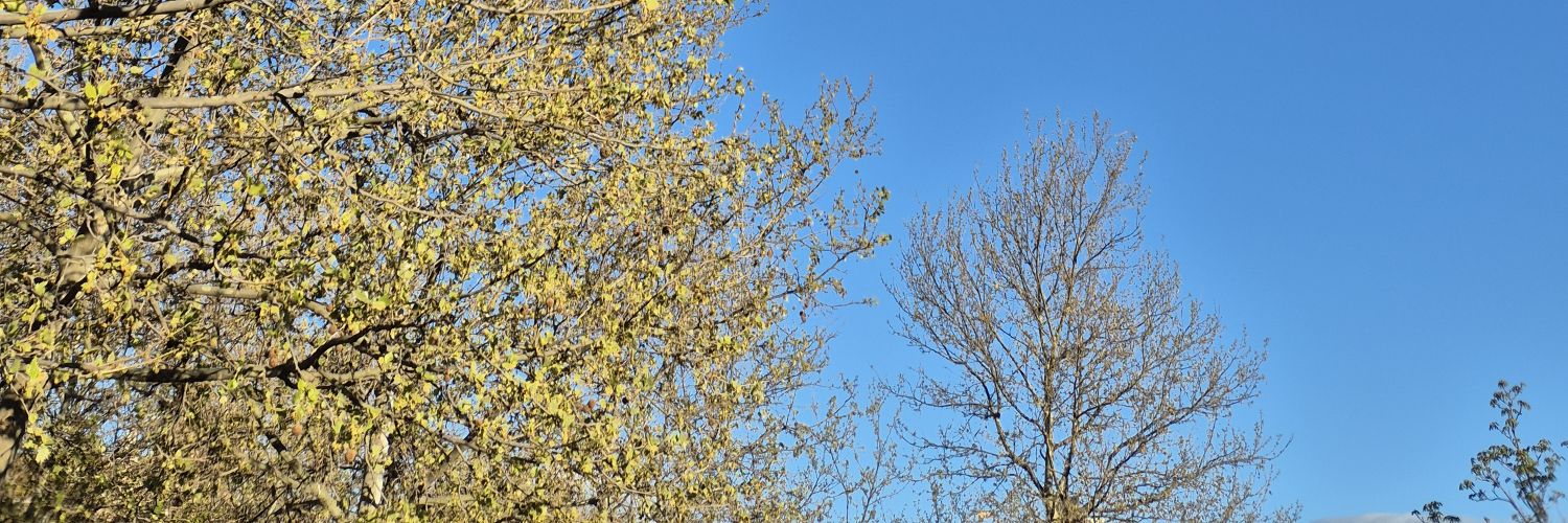 ingridcusguen's profile banner image