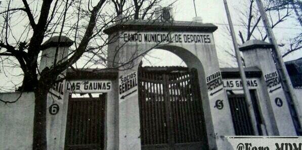 Luis banner