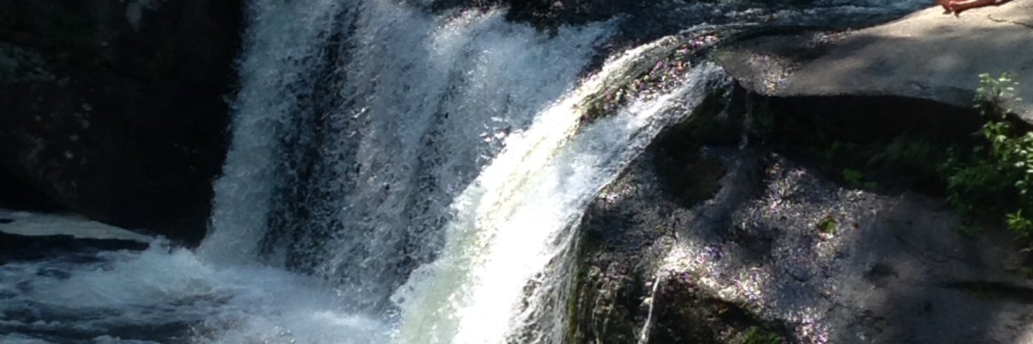 shellimilling's profile banner image