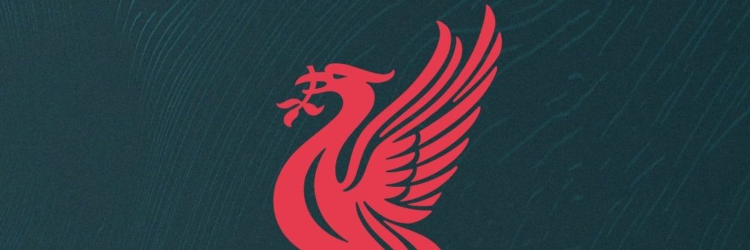 _SteBuckley's profile banner image