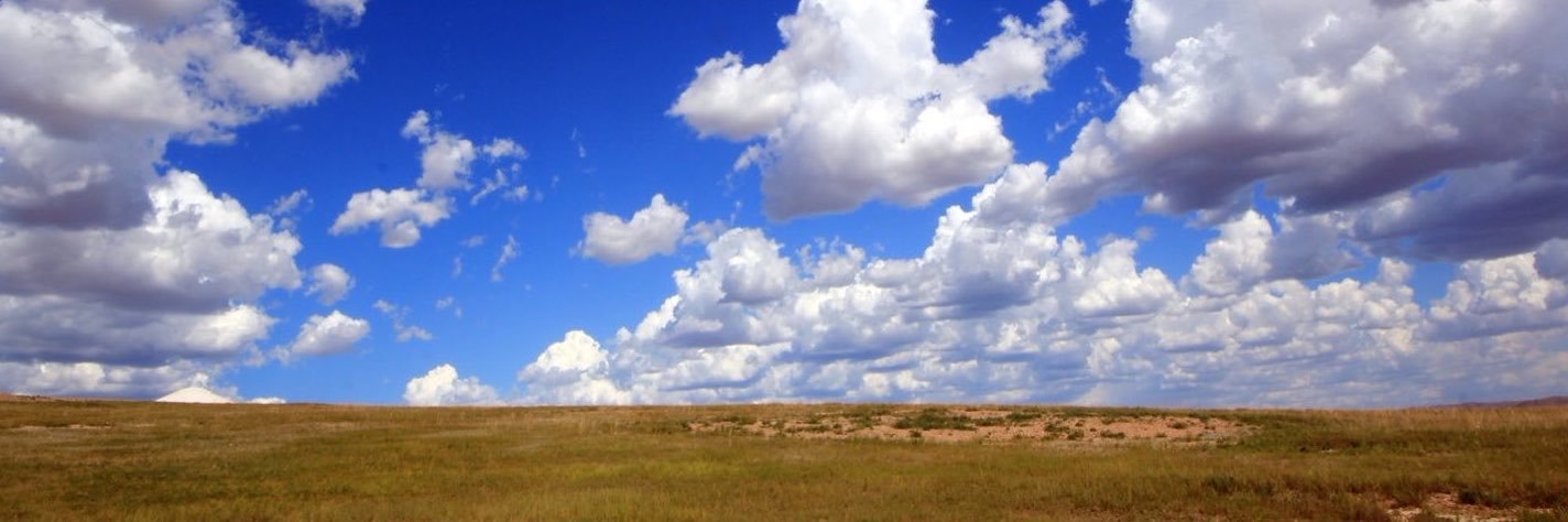 Mattdamonz6's profile banner image