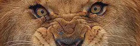 ALOAN6's profile banner image