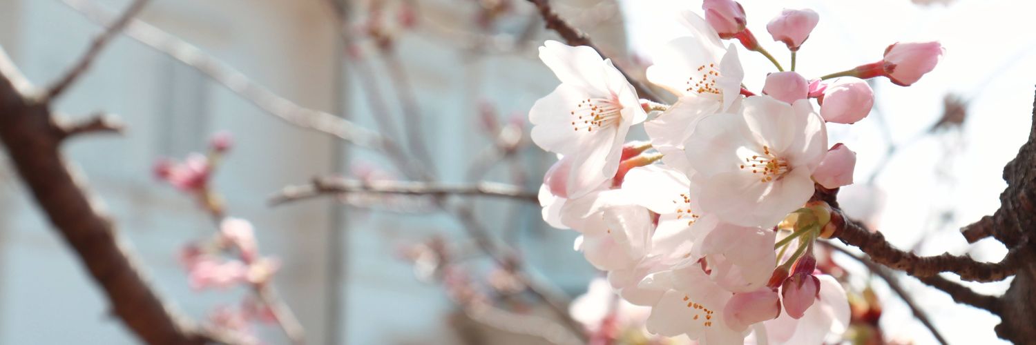 n_shake's profile banner image