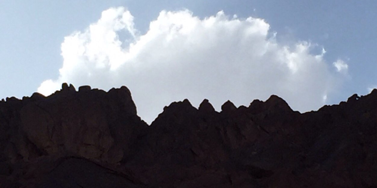 seleh2255's profile banner image