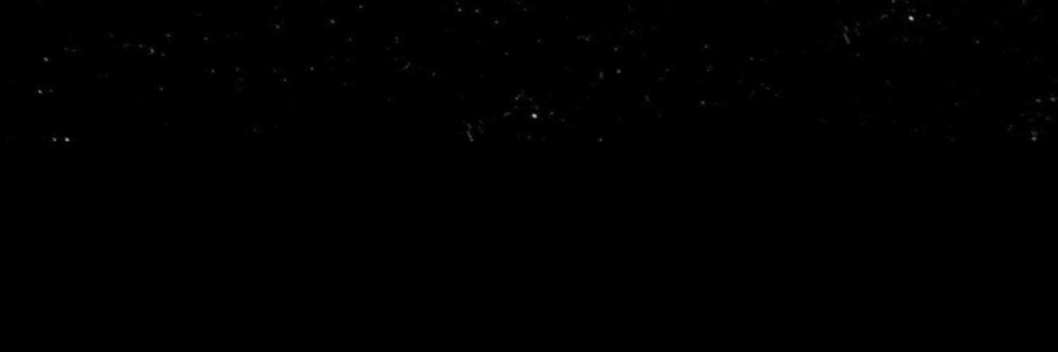 chooseecameron's profile banner image