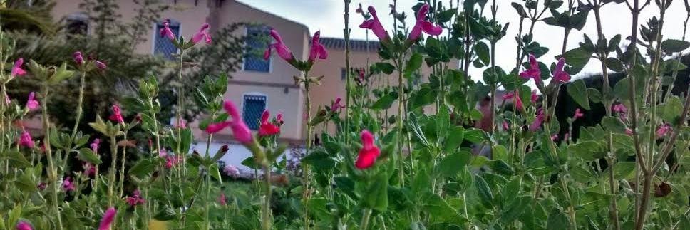 Gloria Mª Tomás y Ga banner