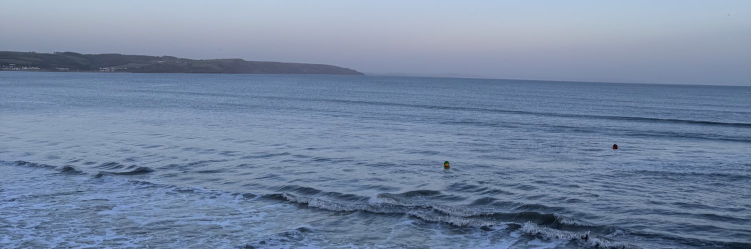 ffion banner