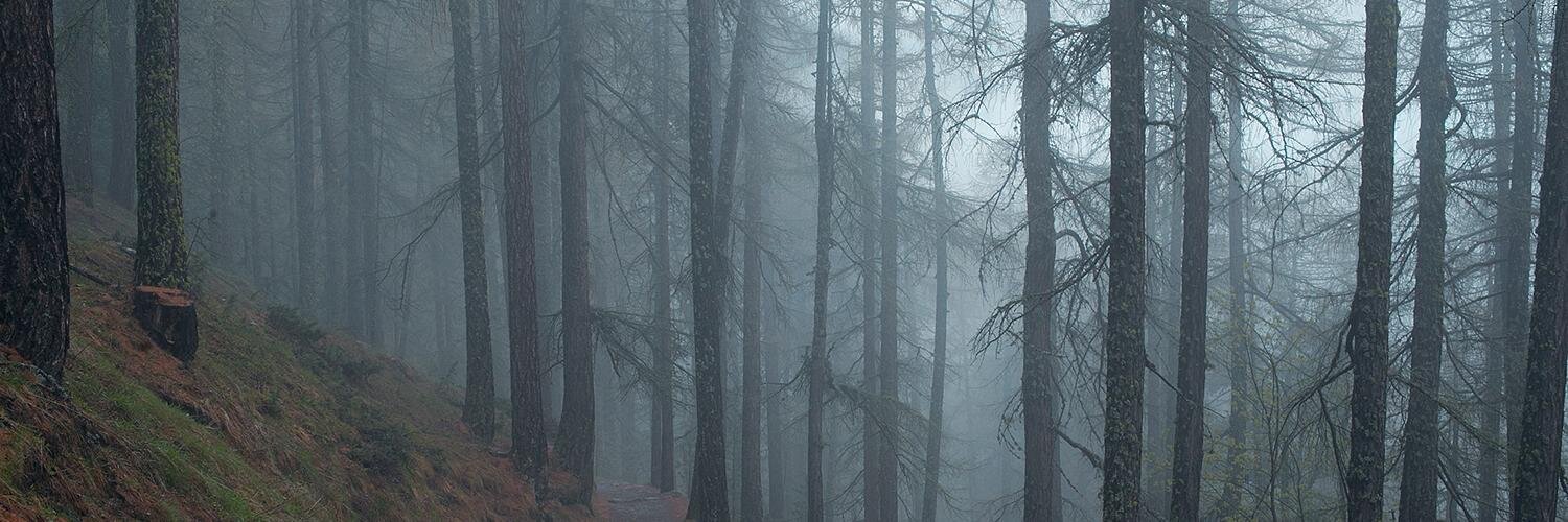 henningkj's profile banner image
